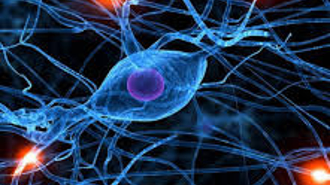 Sinirgelişimsel'de büyük tehlike. Mutasyonların yeni bir etkisi daha çıktı