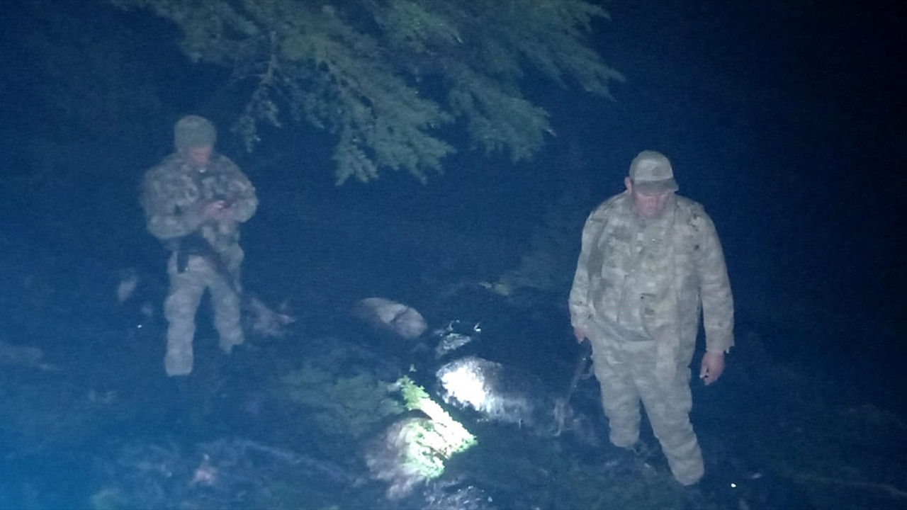 Otlayan hayvanların üzerine yıldırım düştü