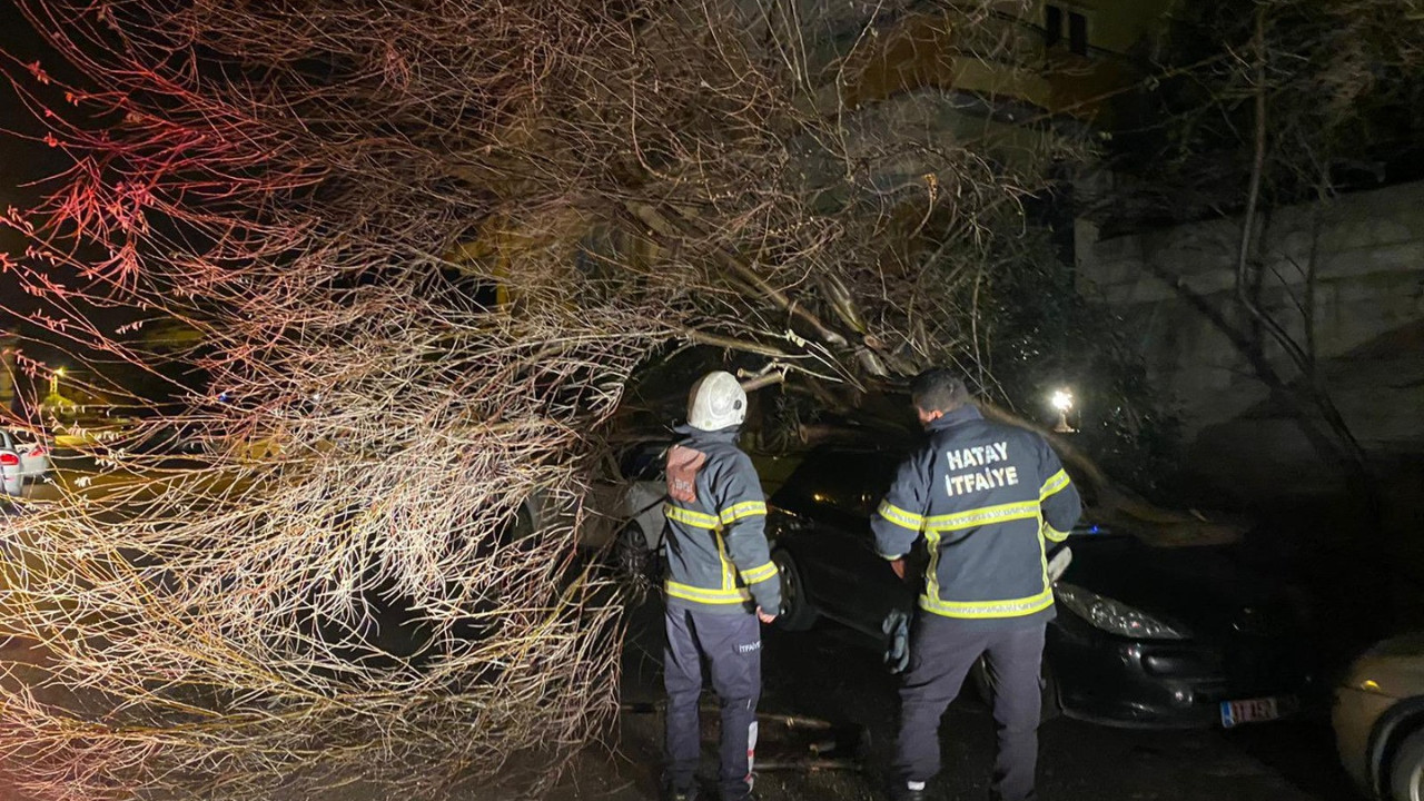 Fırtına ağaçları kökünden söktü