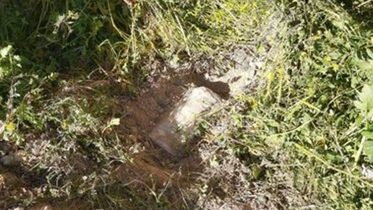 Saldırı hazırlığındaki terörist yakalandı (12 Mart 2021)