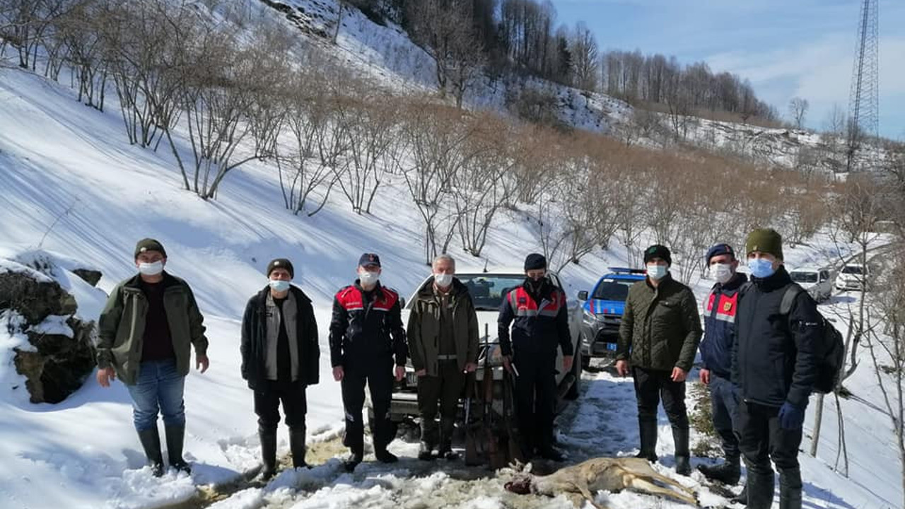 Kaçak avcılar suçüstü yakalandı