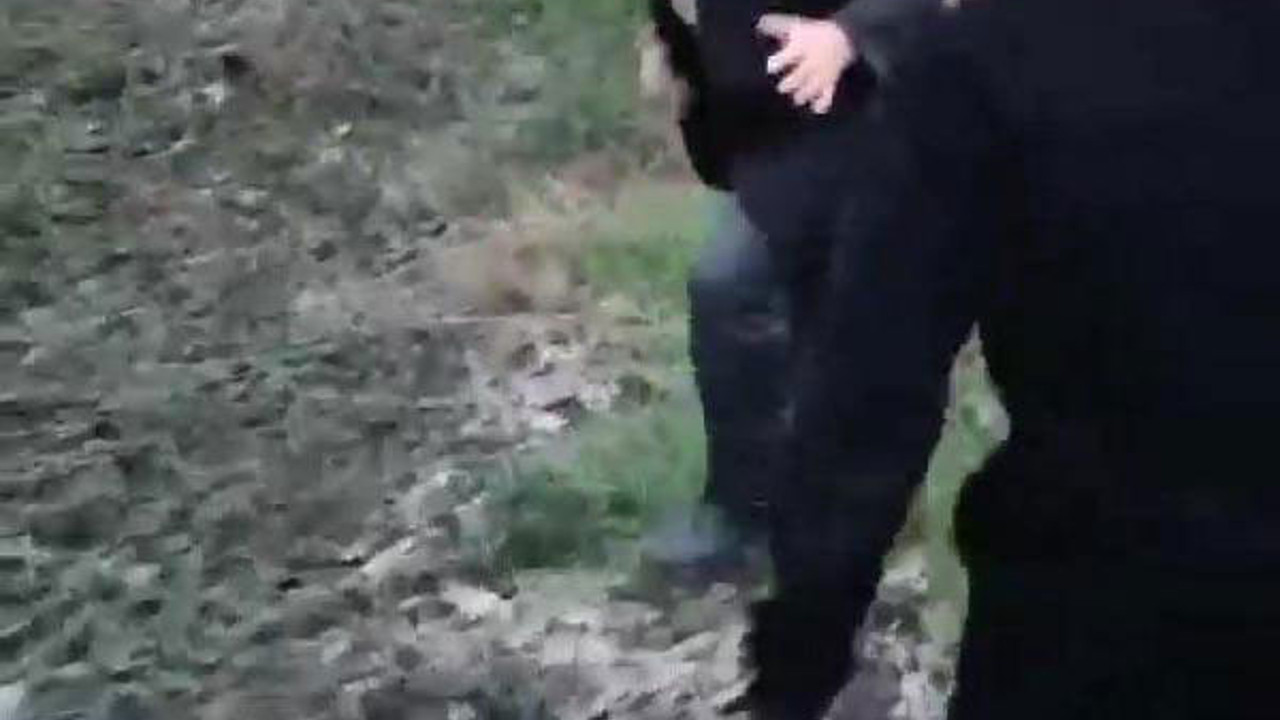 Köpeğe tecavüz eden yaşlı adama meydan dayağı. Kocaeli'nde iğrenç olay