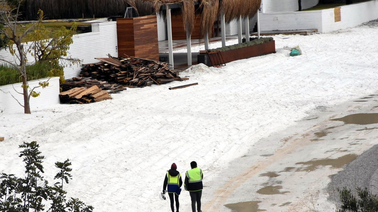 Bodrum plajlarında tehlike göz göre göre geliyor. İnsanı doğayı hayvanı her şeyi etkiliyor