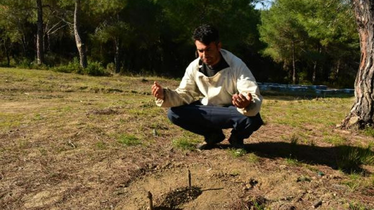 Adana'da ölen arıları için toplu defin töreni yaptı. Aynı acıyı ikinci kez yaşadı