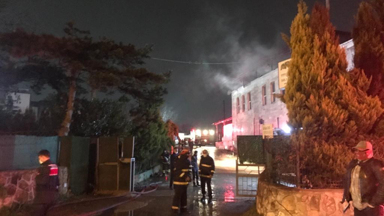 Her şey yakılan mumla başladı. Yüzlerce güvercin öldü