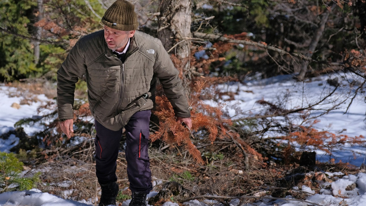 Hayrete düşüren hikaye. Babası 6 yaşında Toroslar'a bıraktı 9 yıl dağlarda yaşadı
