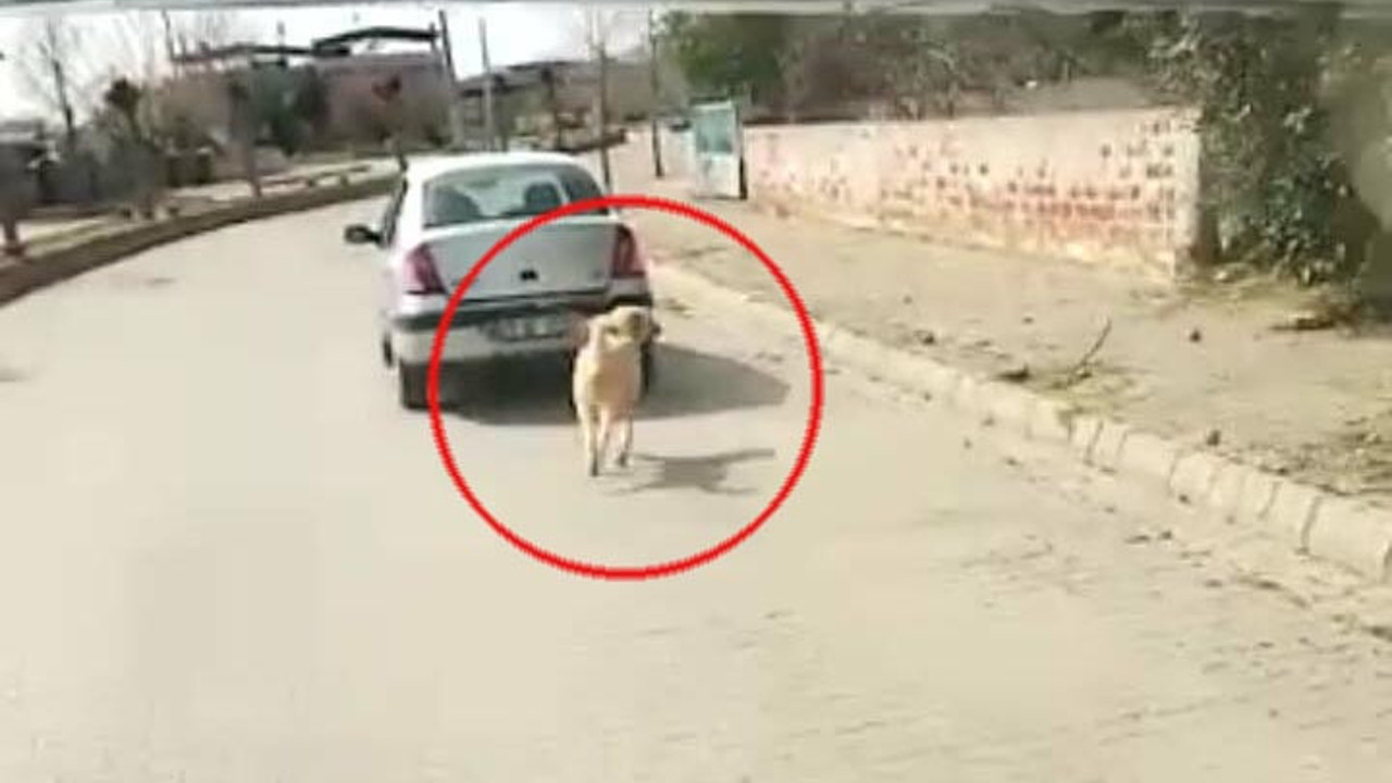 Skandal görüntüler olay oldu