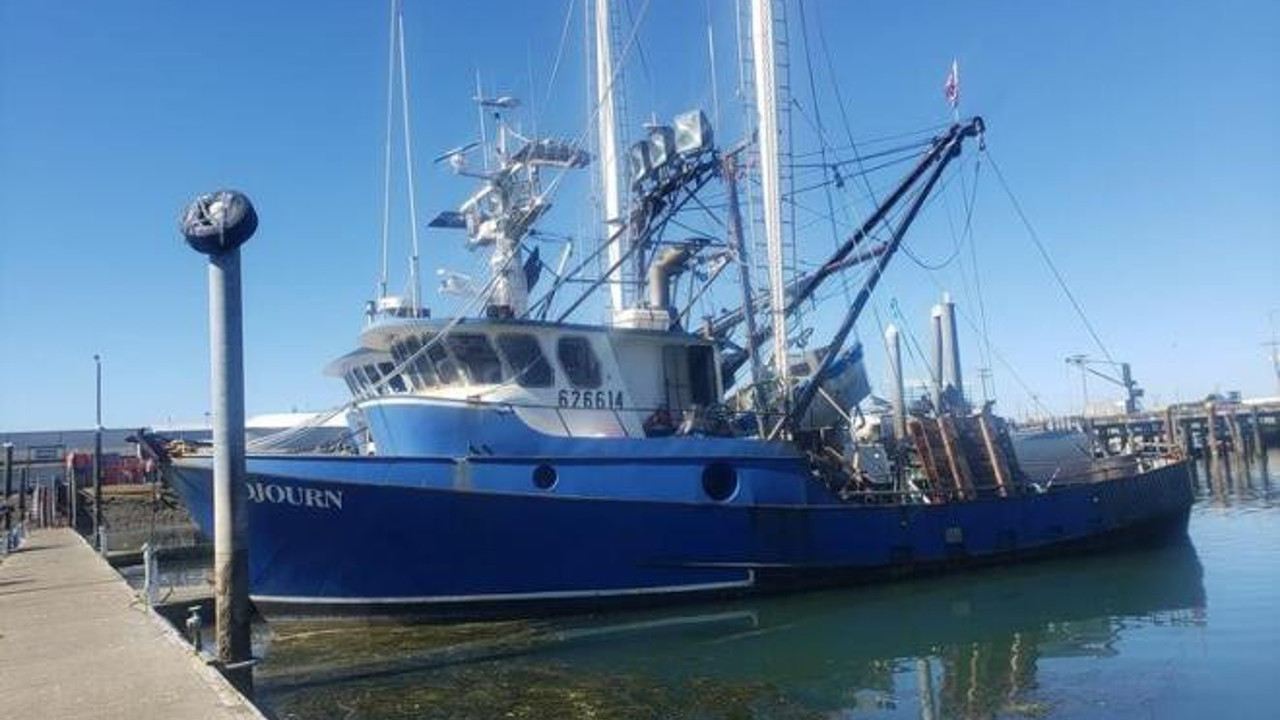 Balıkçıların ağına takıldı. Avını çenesiyle ezerek öldürüyor