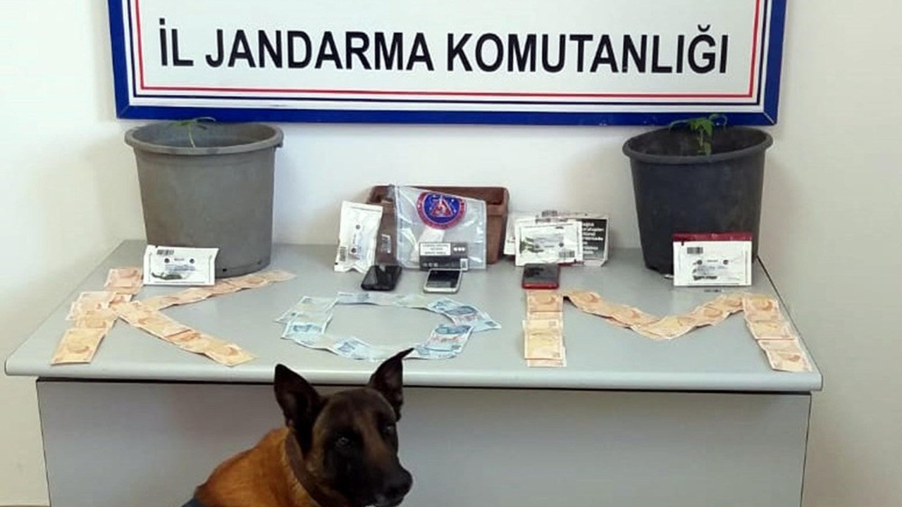 Yaktığı ev mezarı oldu