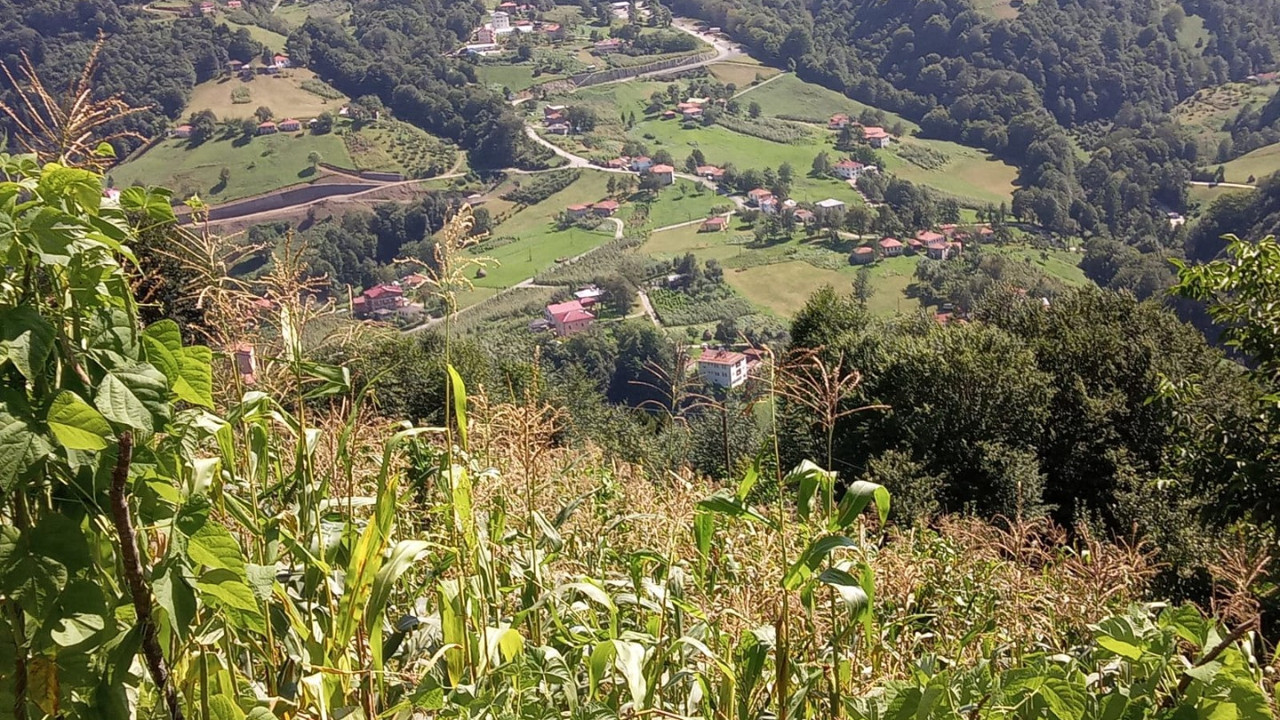 Eşini domuz sanıp öldüren koca: Islık çaldım tepki gelmeyince ateş ettim