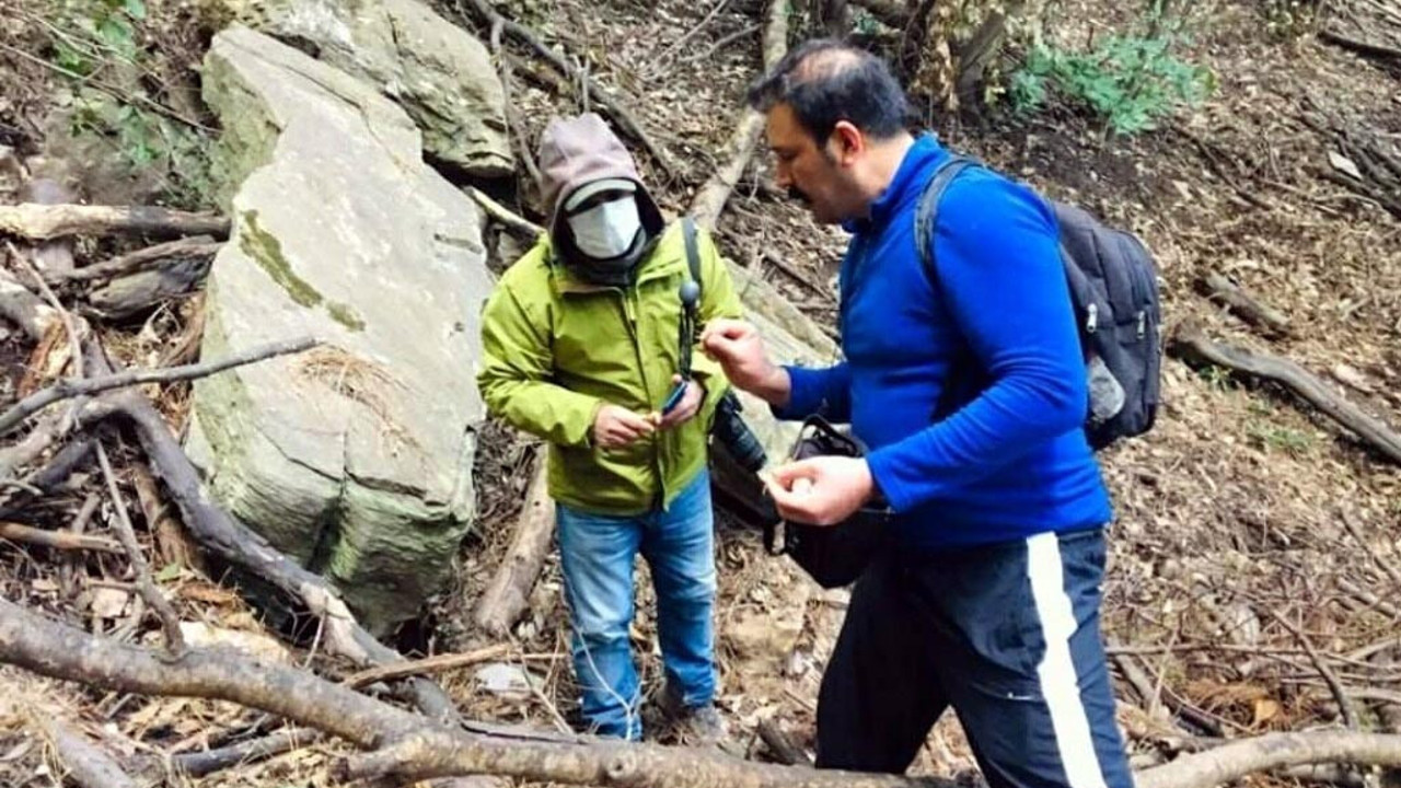 Aydın'da ormanda gezen öğretim görevlisinin ayağına takıldı. Hemen arkadaşlarını çağırdı, değeri çok yüksek