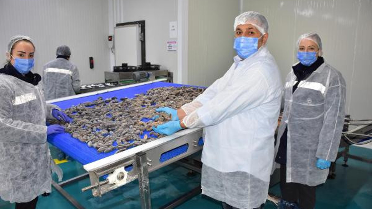 Türkler yemiyor, Çinliler ve Koreliler sofralarından eksik etmiyor. Maskesini bile yapıyorlar