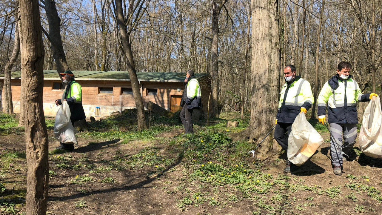 Belgrad Ormanı'nda insanlığa sığmayacak manzara. Görüntüler pes dedirtti