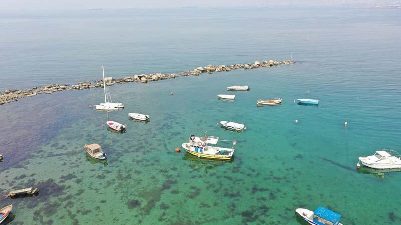 Tuzla'da sular çekildi! 2 bin yıllık Bitinya Krallığı limanı ortaya çıktı