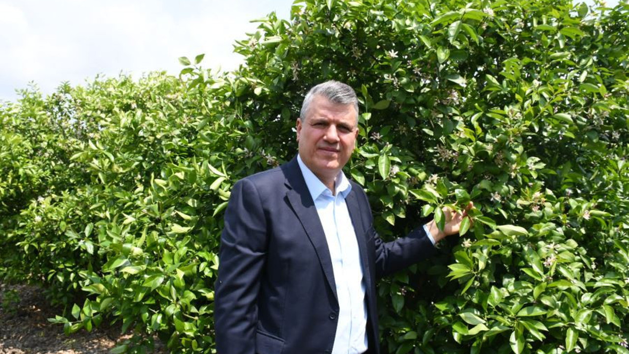 CHP'li Ayhan Barut, tarımdaki yangını söndürün diyerek isyan etti. Tarım Bakanlığı'na çağrı yaptı