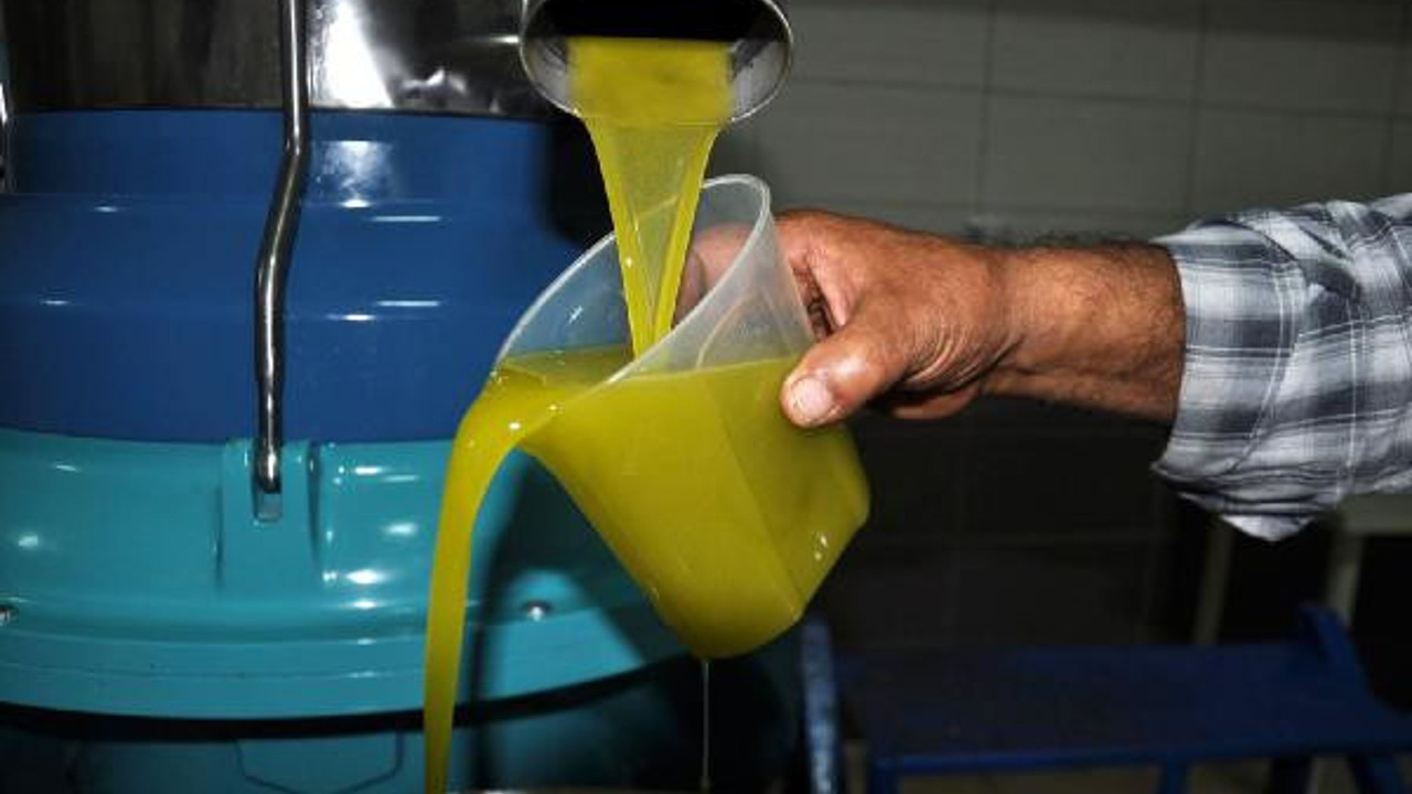 Zeytinyağı diye neler yedirmişler neler. Büyük hile ortaya çıktı (29 Mart 2021)