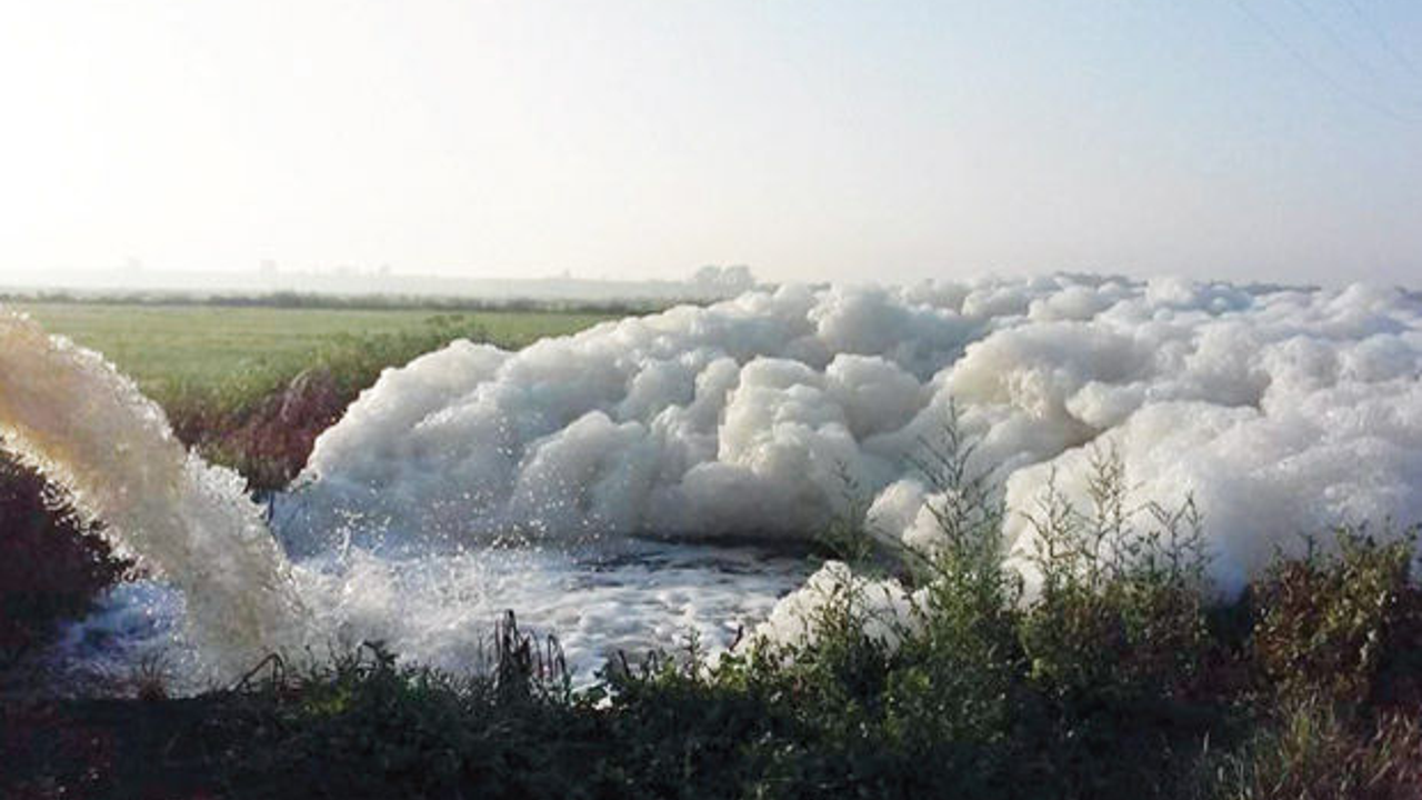 Ergene Nehri'nin haline bakın. Yediklerimiz bu suyla sulanıyor