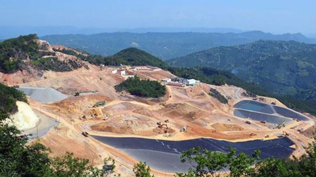 Kazdağları'ndan sonra bir talan da Tokat'da. 5 milyon ağaç katledilecek