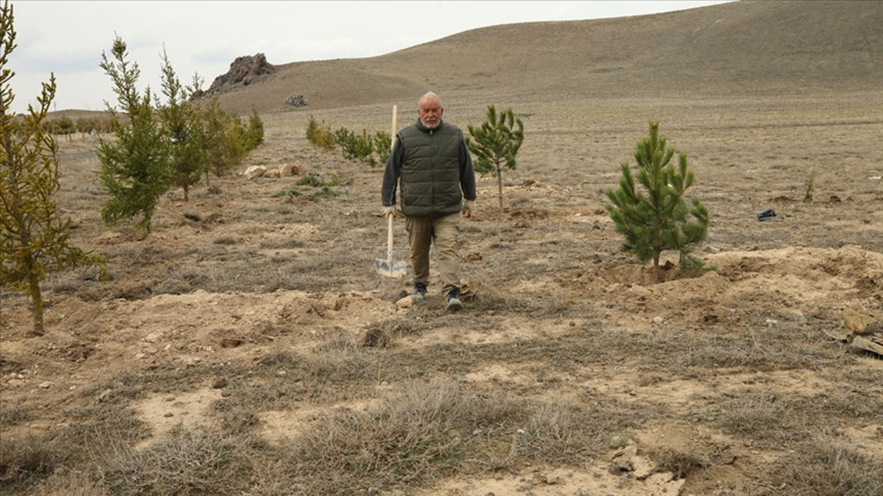 7 yılda tek başına yaklaşık 10 bin fidan dikti