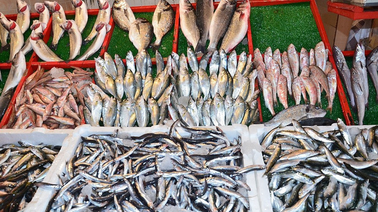 Balık fiyatları nedir. Balık fiyatlarına zam mı geldi