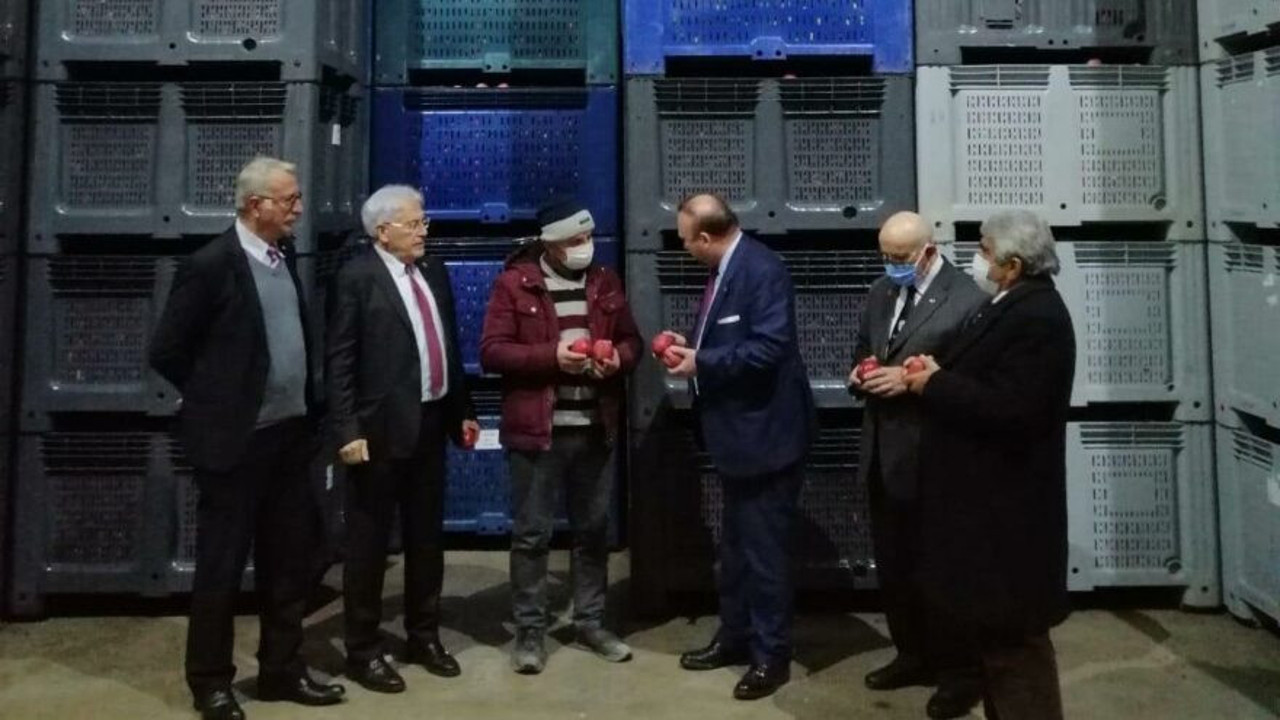 Isparta'da 320 bin ton elma çürümeye terk edildi. Üreticiler isyan etti