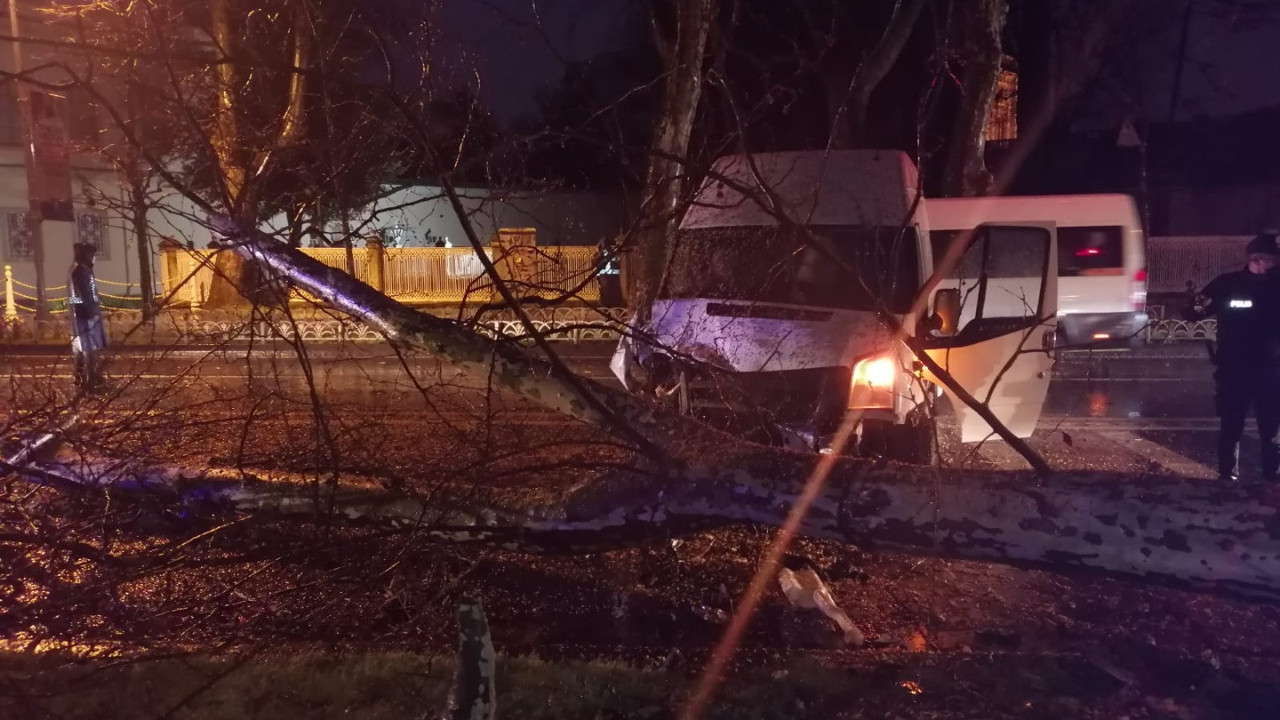 Hızlı şoför, direğe çarpıp ağacı devirdi