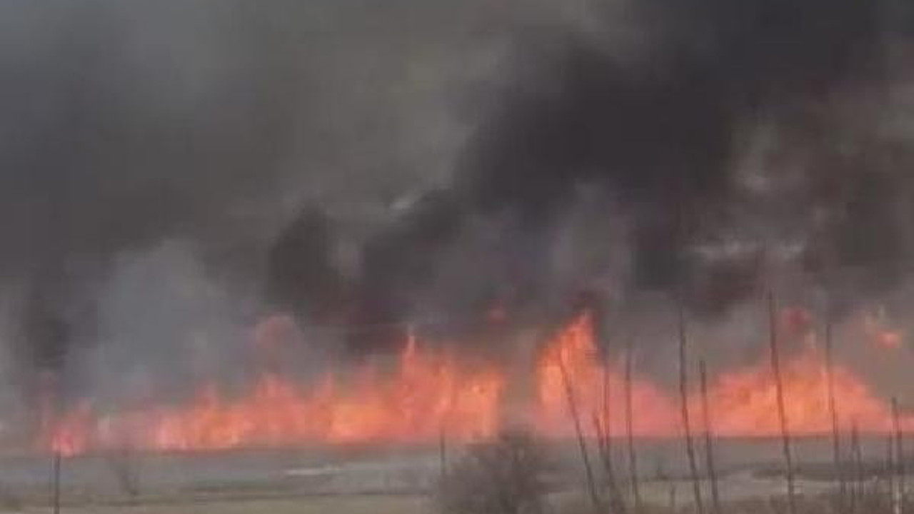 Gölünyazı Kuş Cenneti'nde korkutan yangın. Yol olmadığı için itfaiye araçlarla müdahale edemiyor