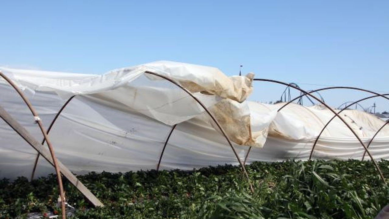 Antalya'da fırtına. 18 dönümde ürünler zarar gördü