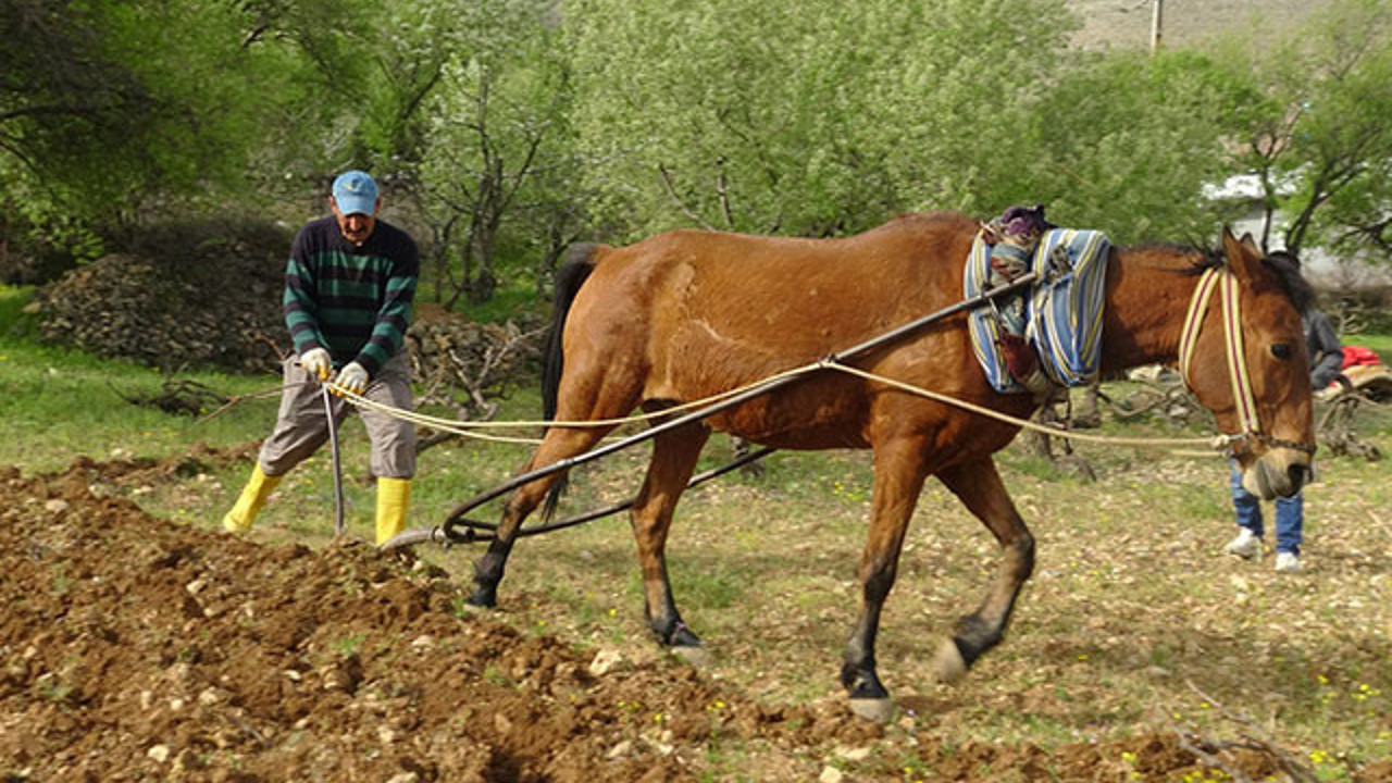 Batman'daki engebeli tarlalar böyle sürülüyor