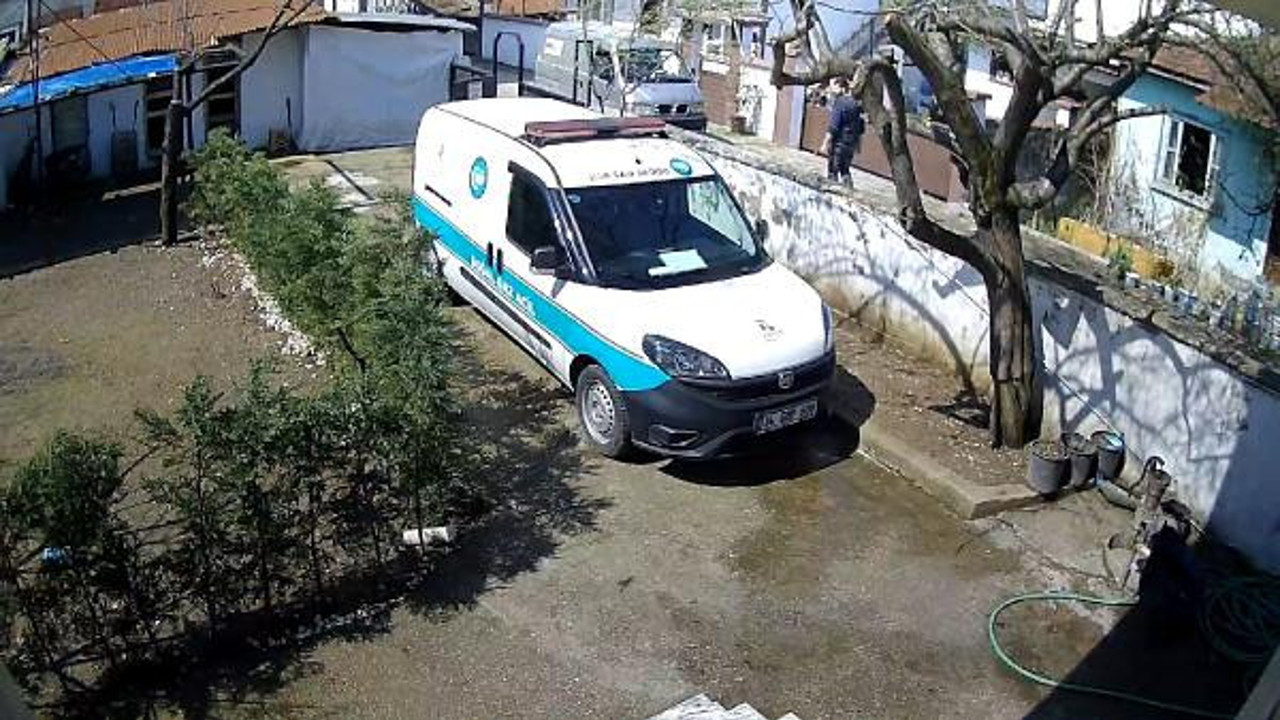 Köpekten korkan kurye ne yapacağını şaşırdı