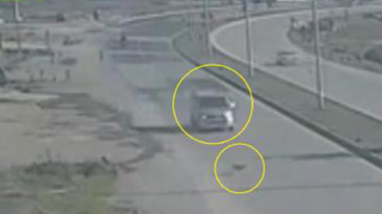 Köpeğe çarpıp ölümüne neden olan sürücüye para cezası