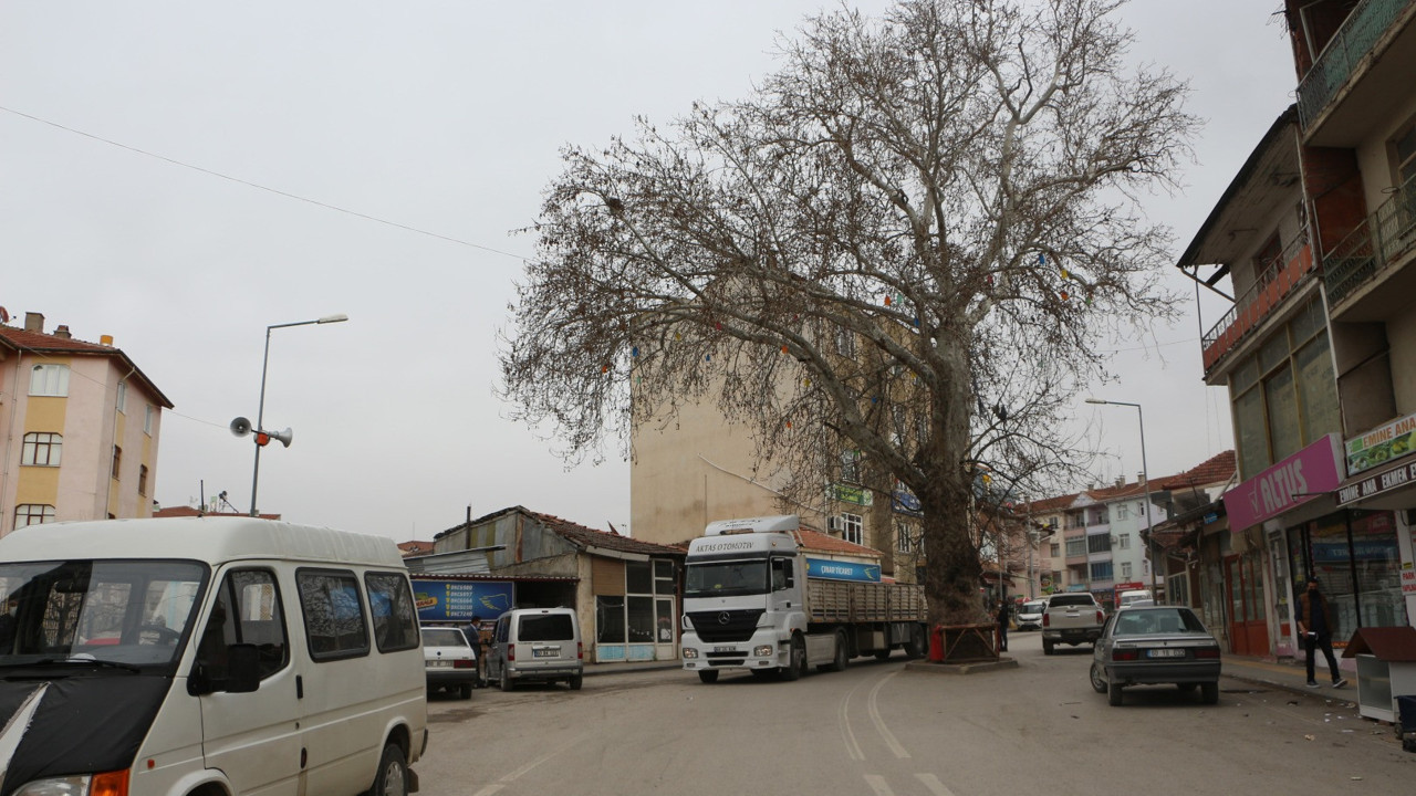 Yol ortasında kalınca büyük ilgi gördü