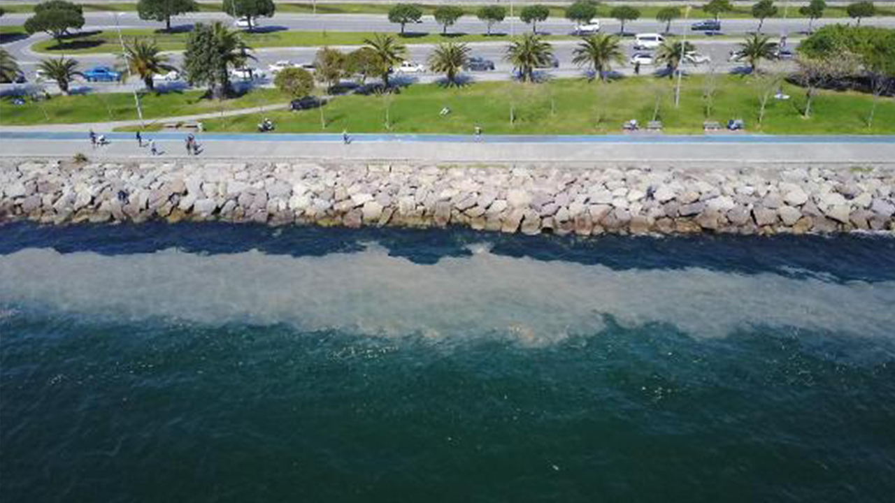Kartal sahilinde görülen deniz salyası endişe yarattı