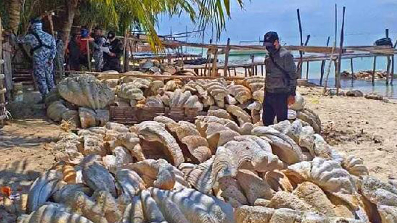 25 Milyon değerinde yasa dışı midye ele geçirildi