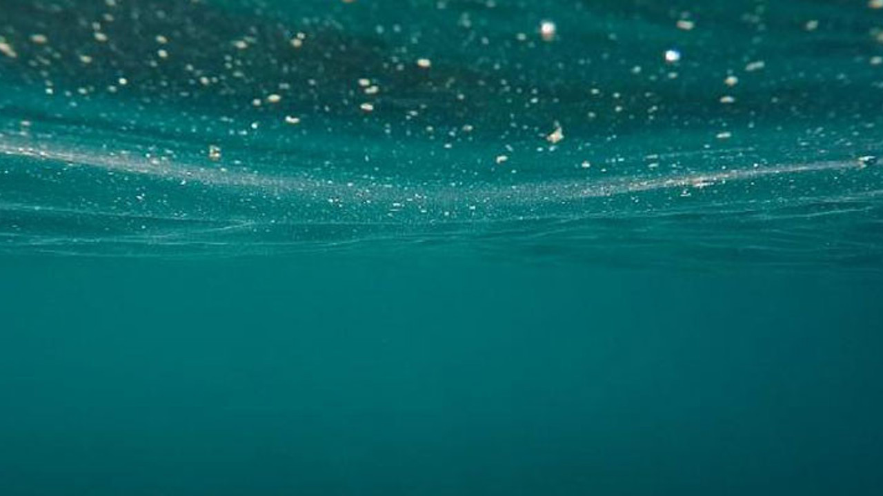 2020 Yılı 'Sessiz Okyanus Yılı' ilan edildi