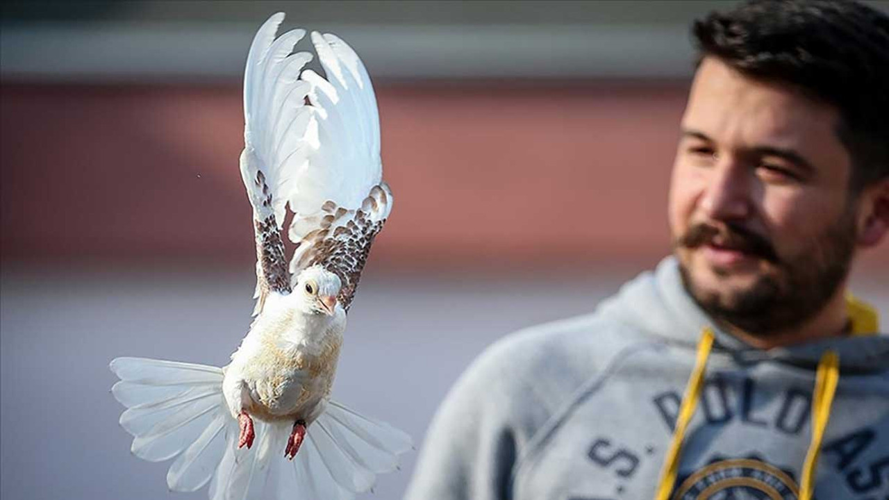Ölmek üzereyken bulunan zibidi uçmaya başladı