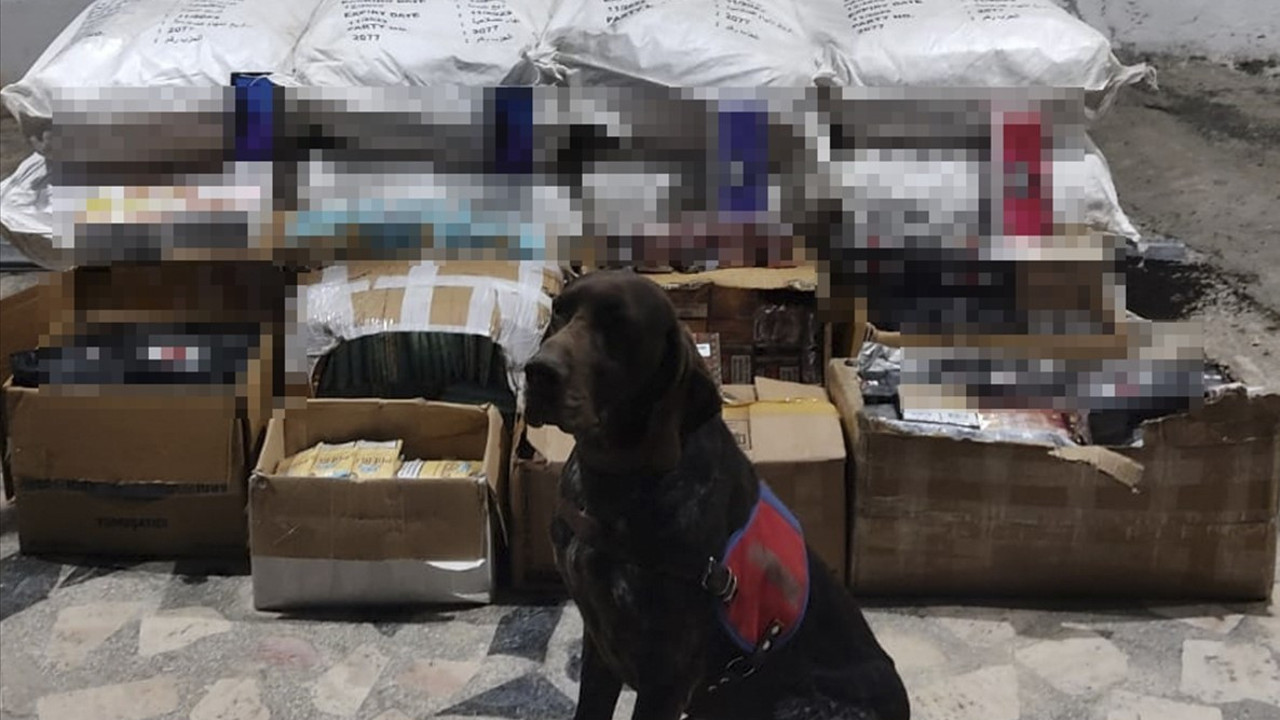 Elazığ'da 315 bin TL'lik operasyon