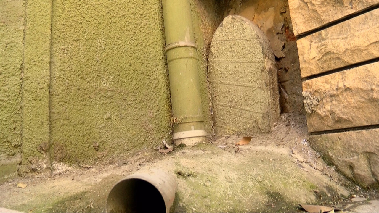 İstanbul'da yürek sızlatan görüntü. Kaderine terk edildi