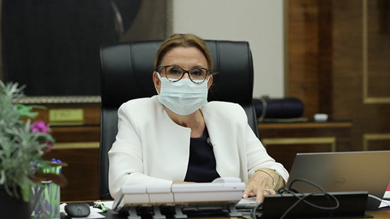 Ruhsar Pekcan, 3 TL'ye ürettiği dezenfektanı kendi bakanlığına 35 TL'ye TGS'ye 14 TL'ye satmış. İsmail Saymaz ortaya çıkardı