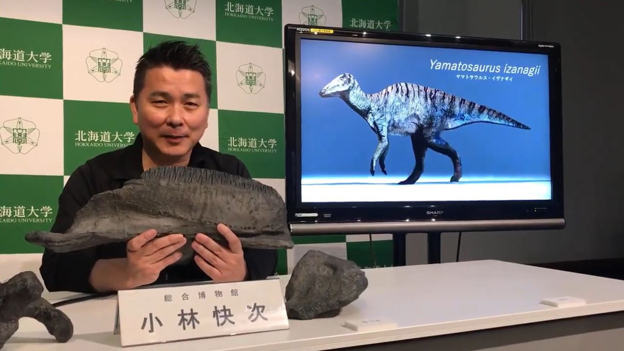 Japon bilim insanları 72 milyon yıl öncesine ait yeni türü açıkladı. Analizi tam 17 sene sürdü