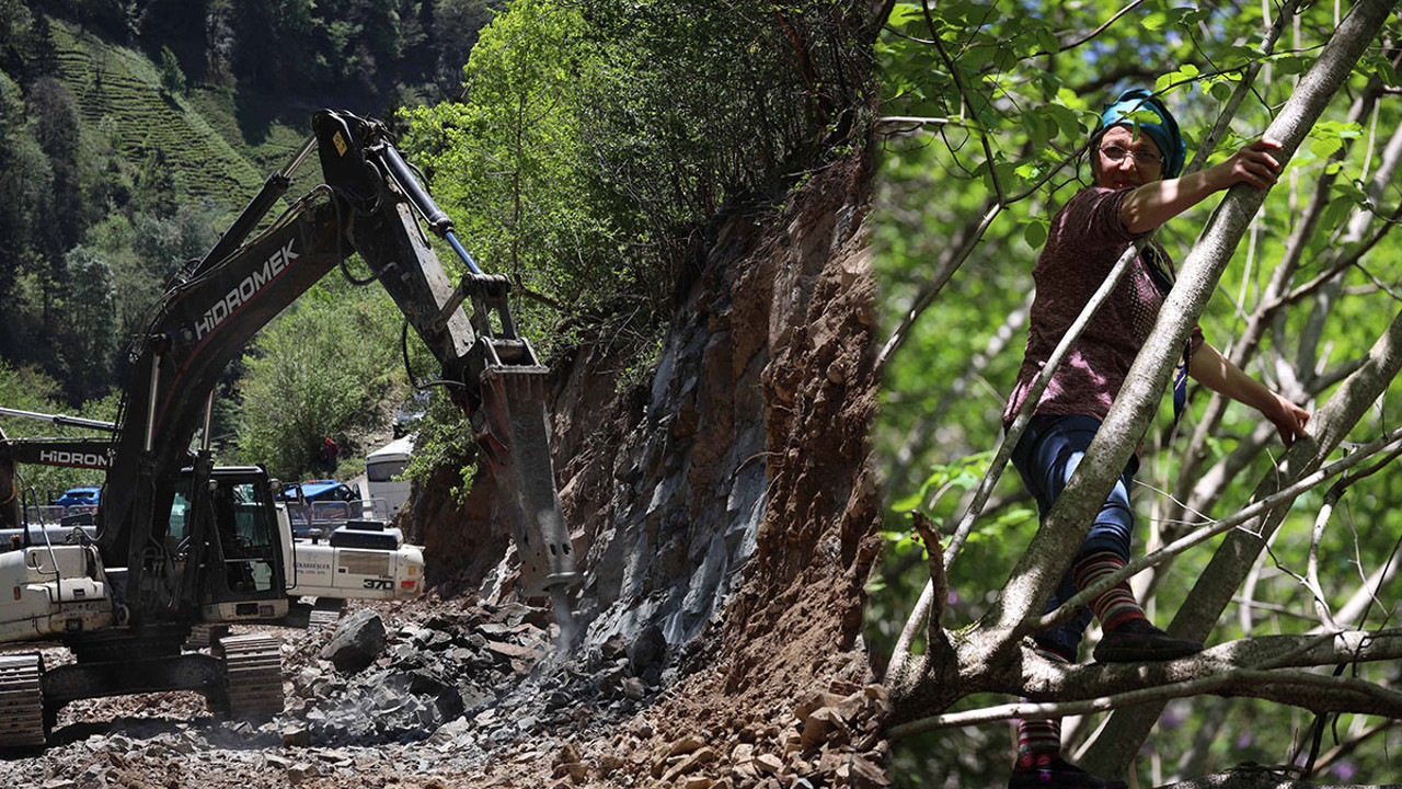 İkizdere’de vatandaşlar ağaçlarda nöbet tutuyor: İş makinesinin sesini duyuyorum ciğerim parçalanıyor