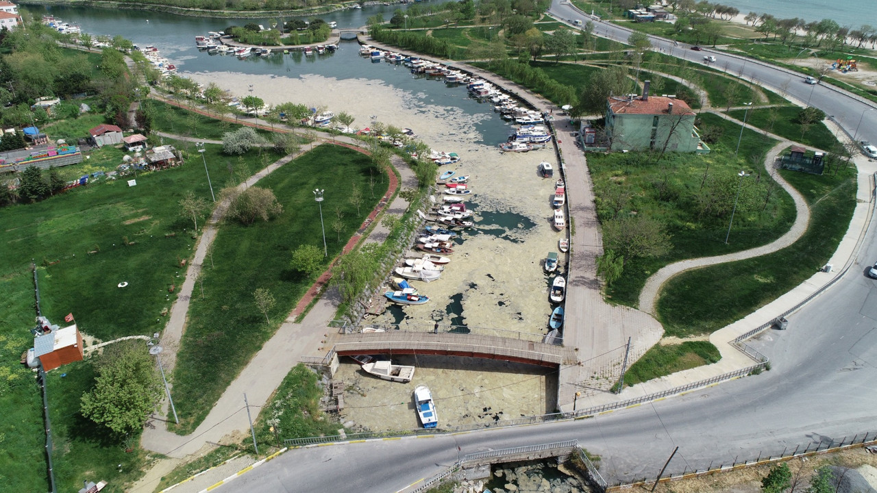 Marmara Denizi'nde neler oluyor? Deniz salyası bu kez dereyi kapladı