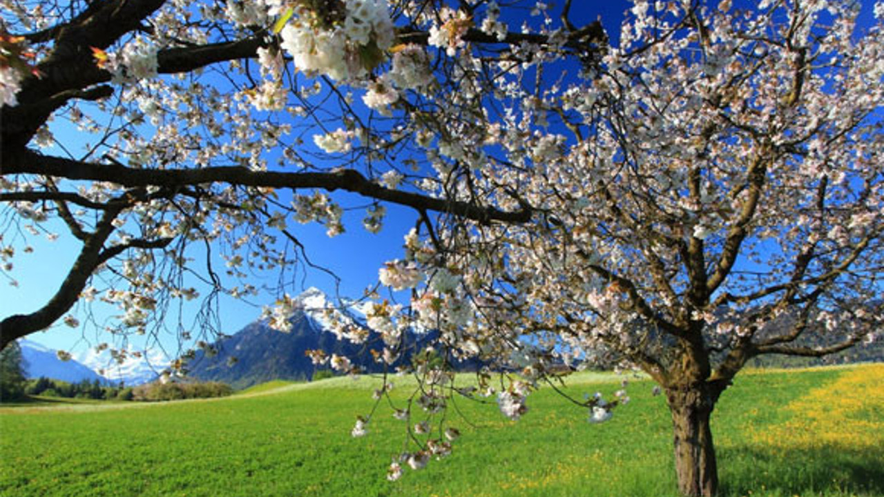 Hızır ve İlyas'ın gerçek hikayesini biliyor musunuz. Türkler Nevruz, Hristiyanlar Paskalya, Museviler Hamursuz der ama