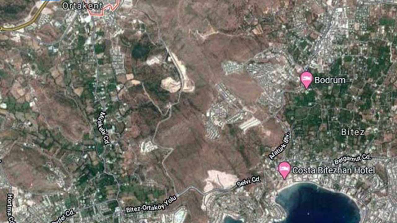 Bodrum'da büyük talan. Yiyin efendiler yiyin bu han-ı iştiha sizin