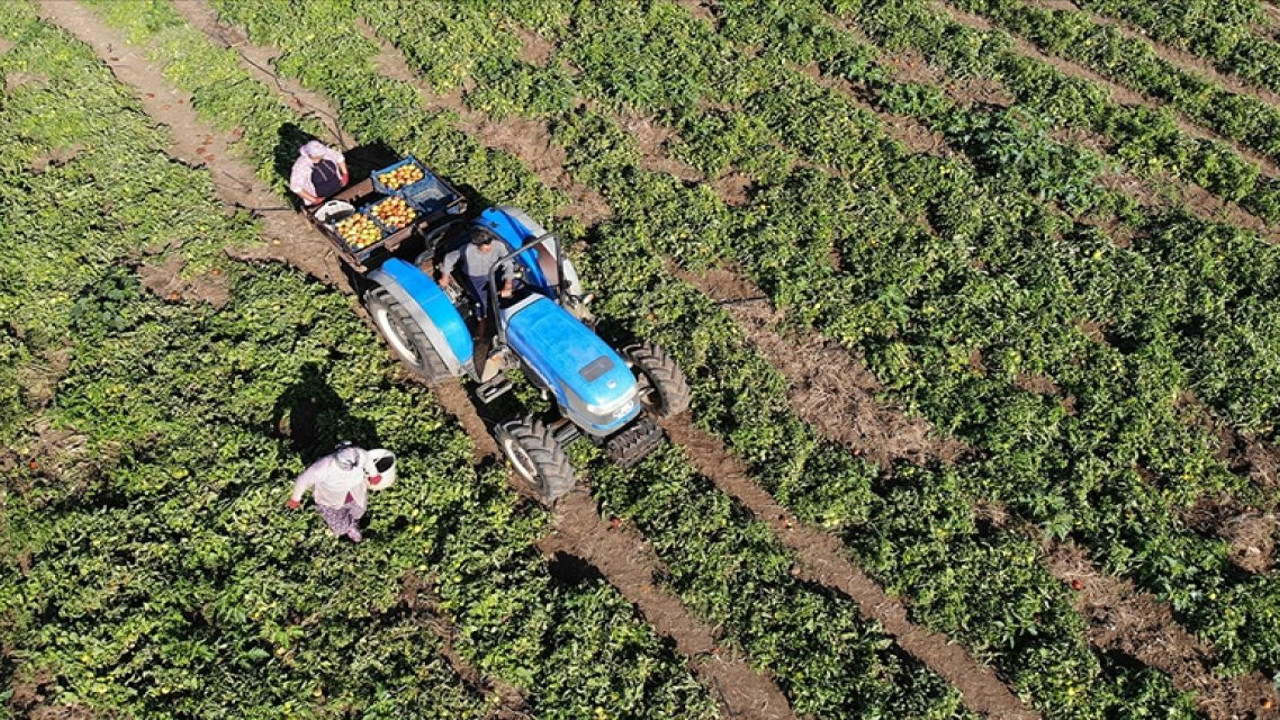 Pakdemirli açıkladı. Bayramdan önce ödeme yapılacak
