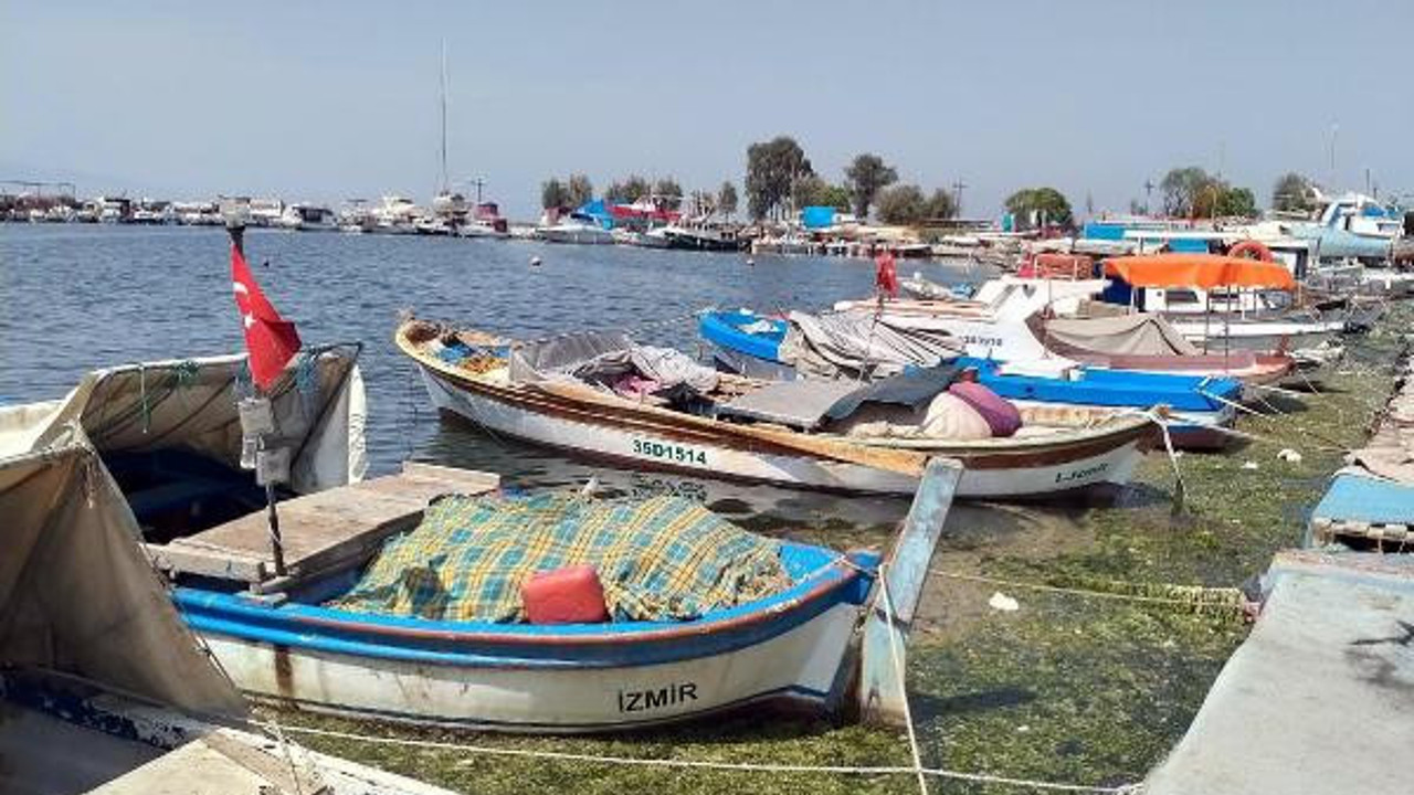 Denizlerimize neler oluyor... Her yerden bir bir korkutan görüntüler geliyor. Deniz salyasından sonra bir de bu çıktı