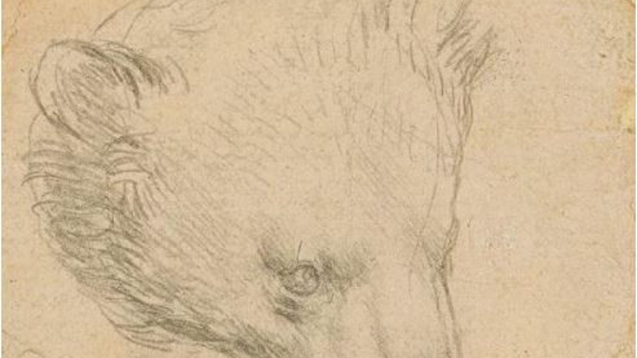 Da Vinci’nin çizimine rekor fiyat