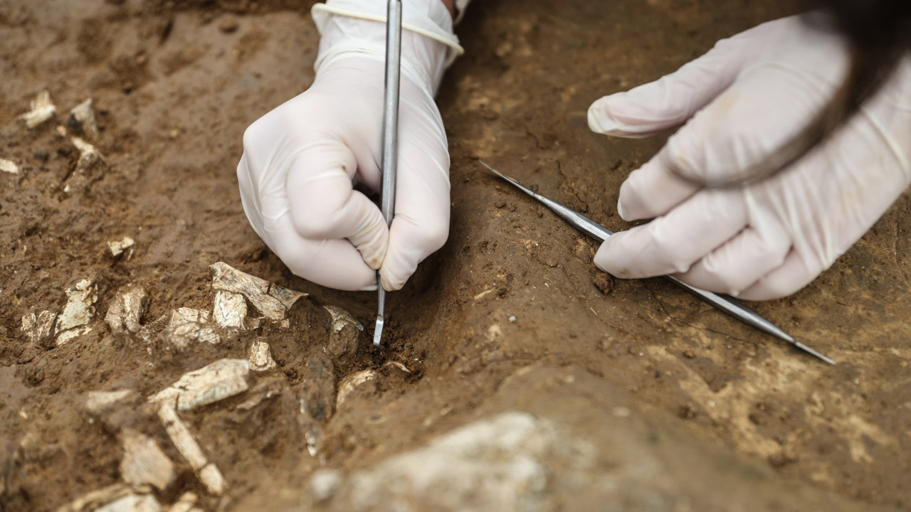Dünya göç haritasını baştan yazacak! Arkeologlar her kazmada farklı bulguyu gün yüzüne çıkardı