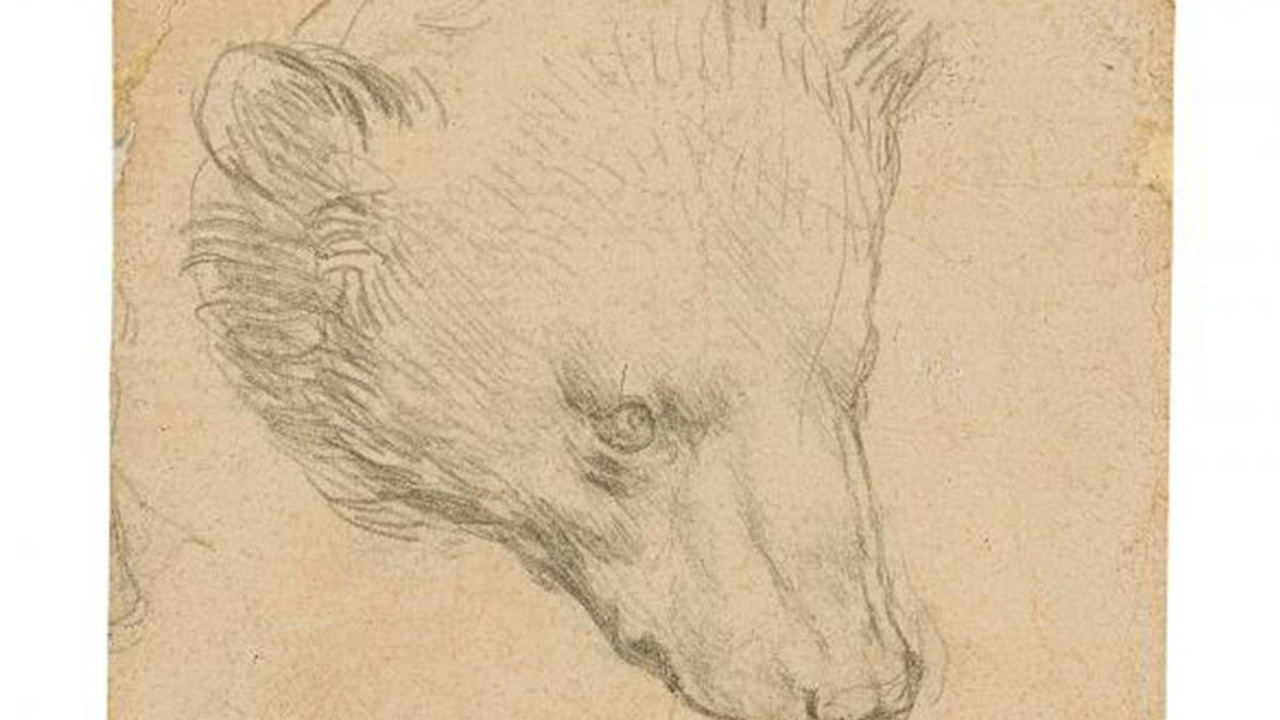 Da Vinci'nin Ayı Kafası çizimine rekor fiyat tahmini