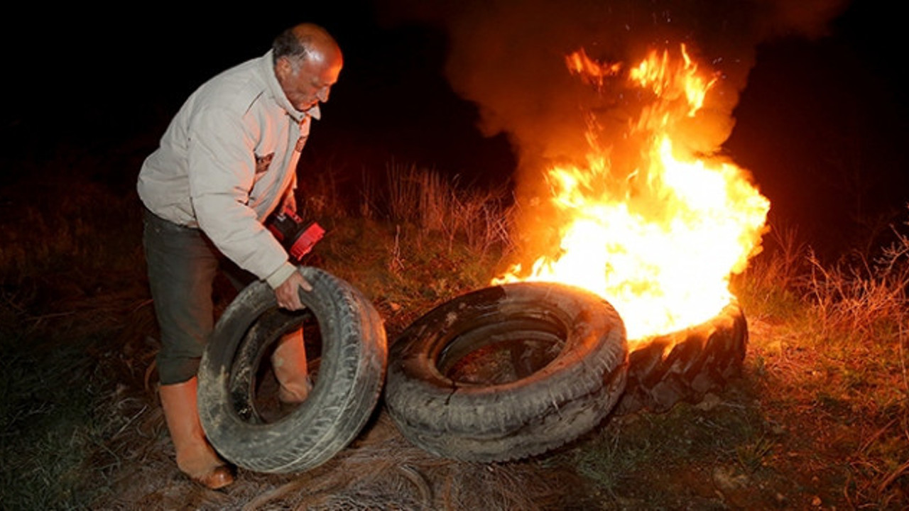 Çiftçi zirai dona karşı yakacak saman bile alamıyor. Lastikçileri mesken tuttular